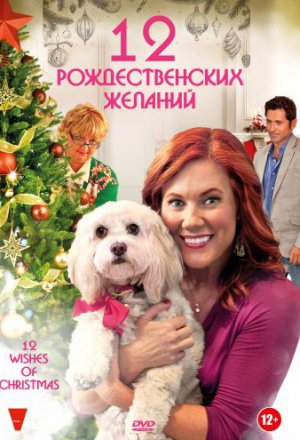 Смотреть 12 Рождественских желаний (2011) онлайн