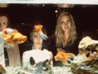 Девушки из офиса (1997)