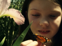 Демоны Джун (2015)