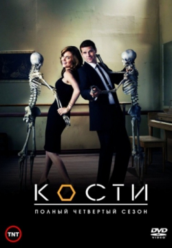 Кости 12 сезон (2017)