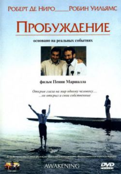 Пробуждение (1990)