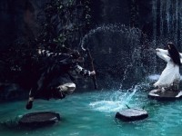 Белокурая невеста из Лунного Королевства (2014)