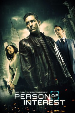 В поле зрения (2011, сериал)