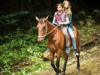 Приключения Нелли (2016)