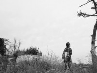 Привет из Фукусимы (2016)