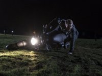 Натуральные упыри (2016)