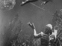 Создание из Чёрной лагуны (1954)