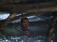 Никто не выжил (2012)