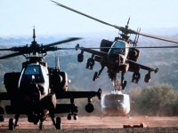 Огненные птицы (1990)