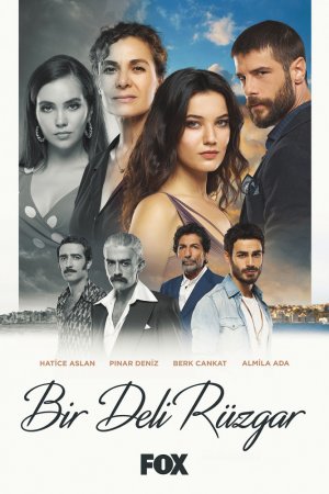 Сумасшедший ветер (2018, сериал)