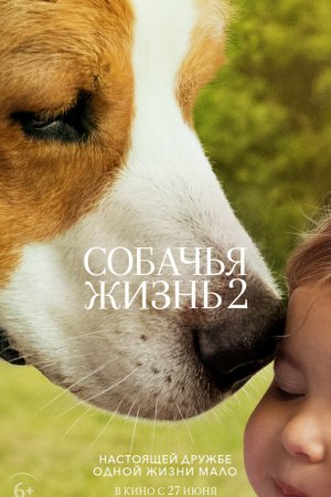 Смотреть Собачья жизнь 2 (2019) онлайн