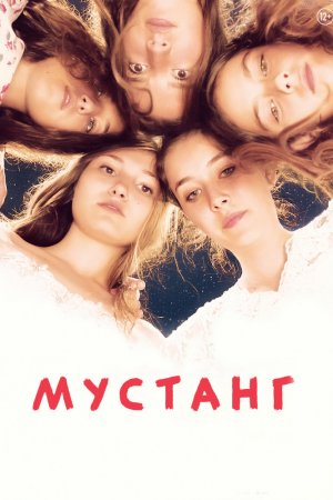 Смотреть Мустанг (2015) онлайн