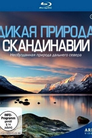 Смотреть Дикая природа Скандинавии (2011, сериал) онлайн