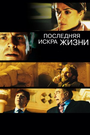 Смотреть Последняя искра жизни (2011) онлайн