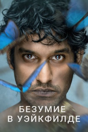 Смотреть Безумие в Уэйкфилде (2021, сериал) онлайн