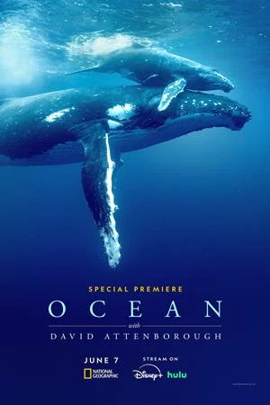Дэвид Аттенборо: Океан (2025)