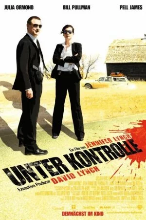 Наблюдение (2008)
